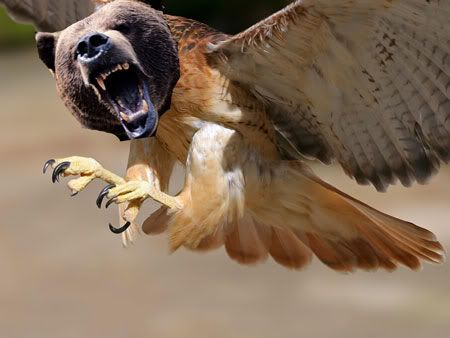 User submitted image