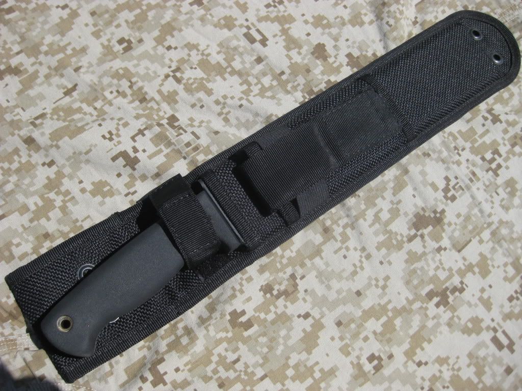[Linked Image from i947.photobucket.com]