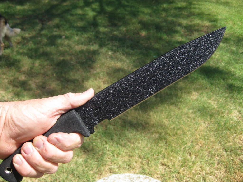 [Linked Image from i947.photobucket.com]
