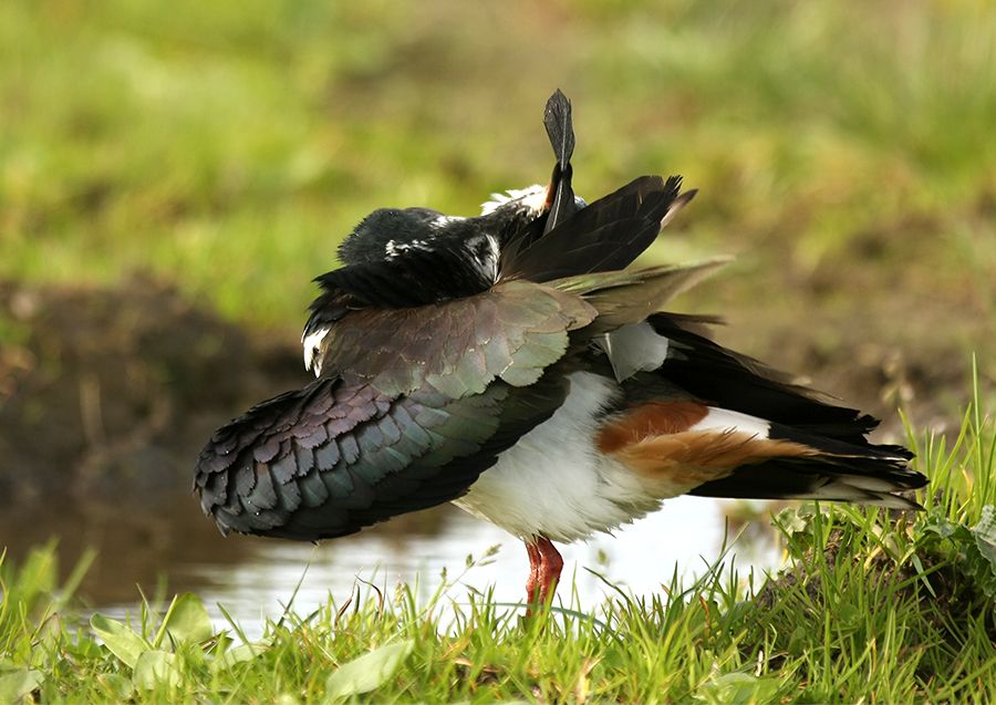 Fotografie