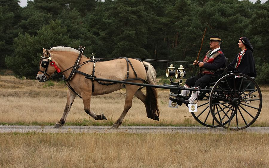 Fotografie