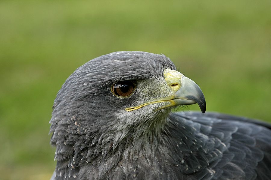 Fotografie