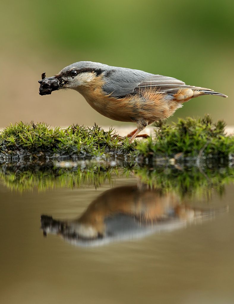 Fotografie