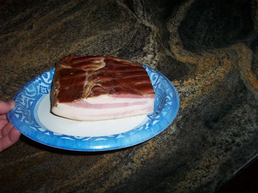 Bacon4.jpg
