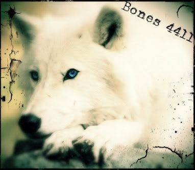 Bones12