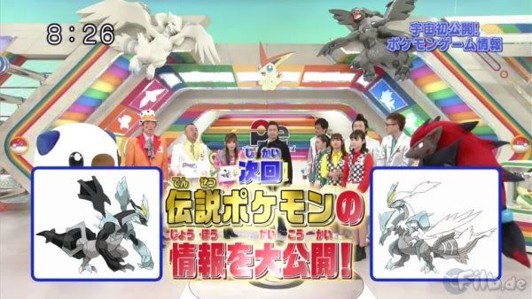 pokemon pokemon