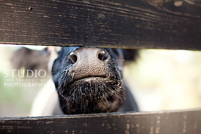 Sneak Peek of This Weekend's Rustic Fall Wedding via TheELD.com