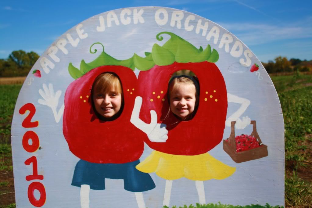 Welcome to the Orchard
