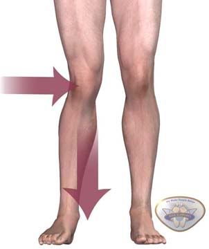 KneeChanges_longView.jpg