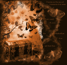 Brown Butterflies Pictures, Images and Photos