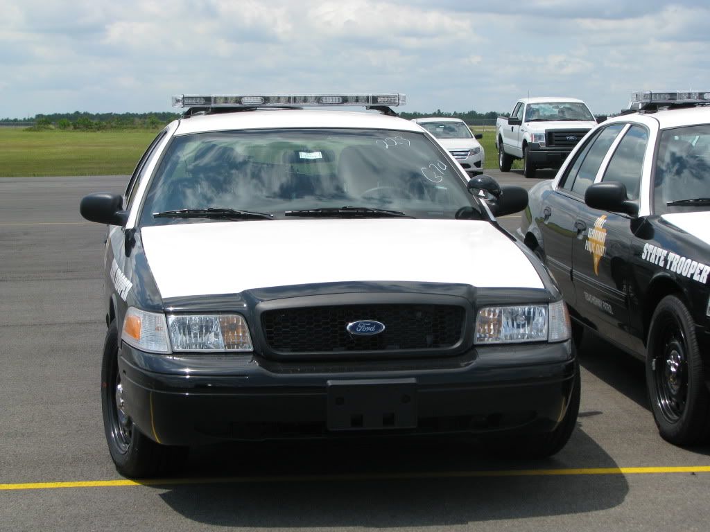 SOUND OFF FORD CROWN VICTORIA /'06 OR NEWER FLASHER
