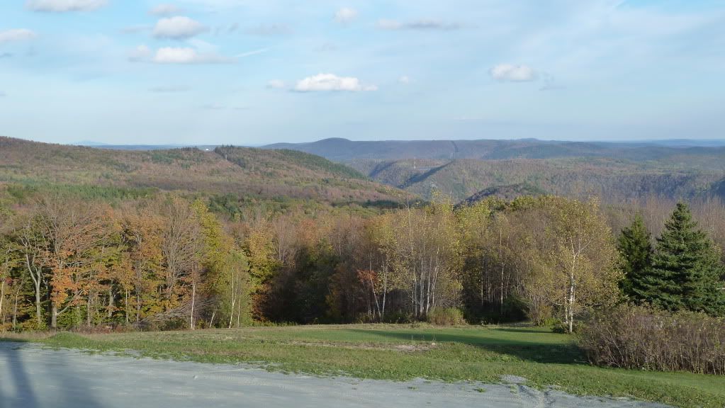 Picture065.jpg