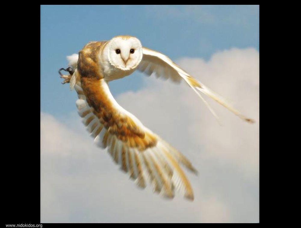  ::http://es.groups.yahoo.com/group/jajachistes/:: 