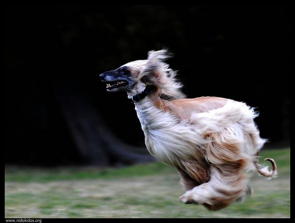  ::http://es.groups.yahoo.com/group/jajachistes/:: 