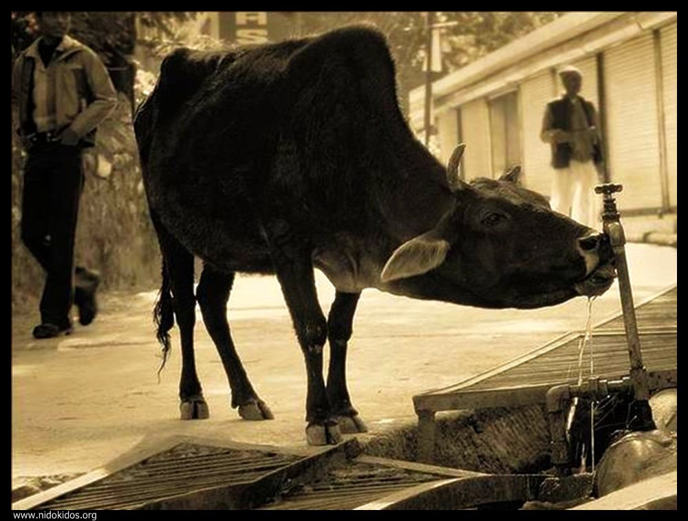  ::http://es.groups.yahoo.com/group/jajachistes/:: 