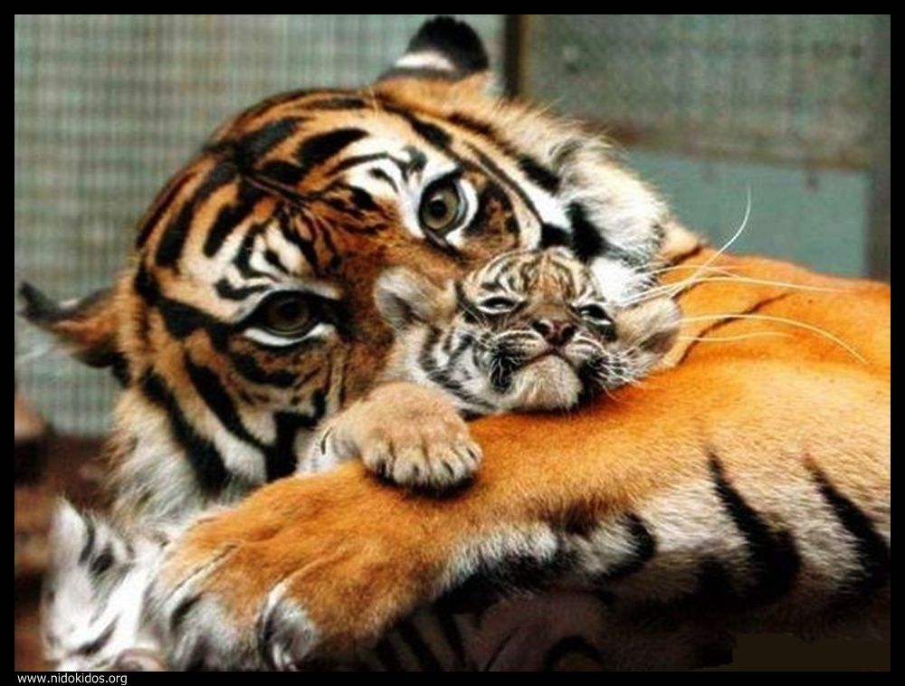  ::http://es.groups.yahoo.com/group/jajachistes/:: 