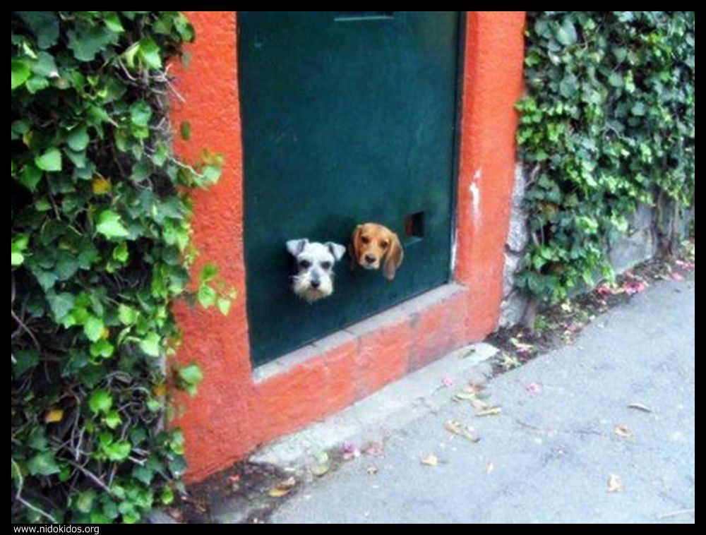  ::http://es.groups.yahoo.com/group/jajachistes/:: 