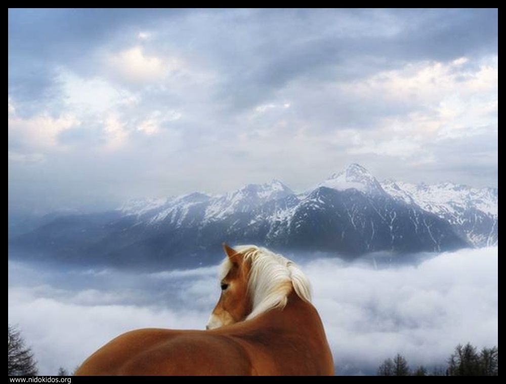  ::http://es.groups.yahoo.com/group/jajachistes/:: 