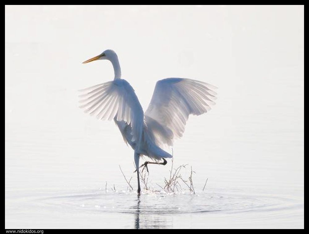  ::http://es.groups.yahoo.com/group/jajachistes/:: 