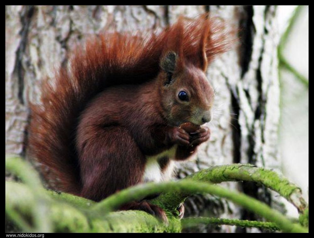  ::http://es.groups.yahoo.com/group/jajachistes/:: 