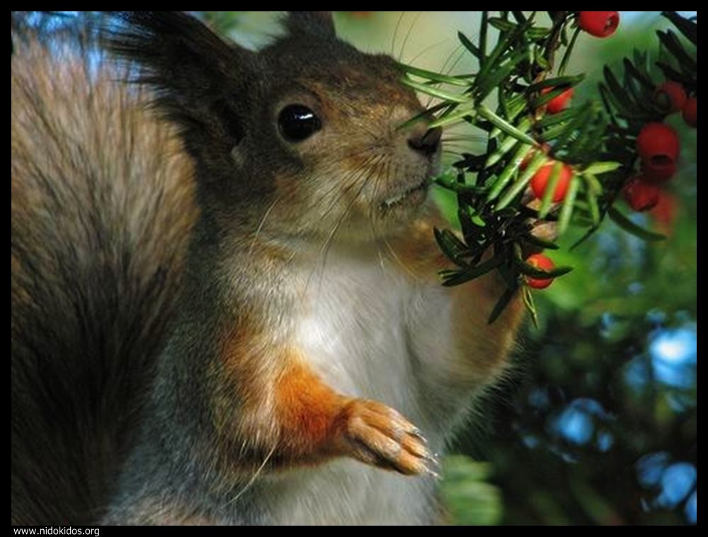  ::http://es.groups.yahoo.com/group/jajachistes/:: 