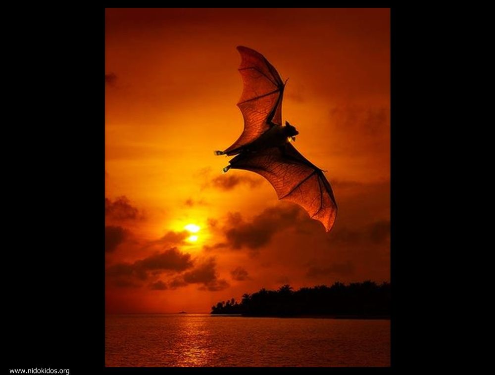  ::http://es.groups.yahoo.com/group/jajachistes/:: 