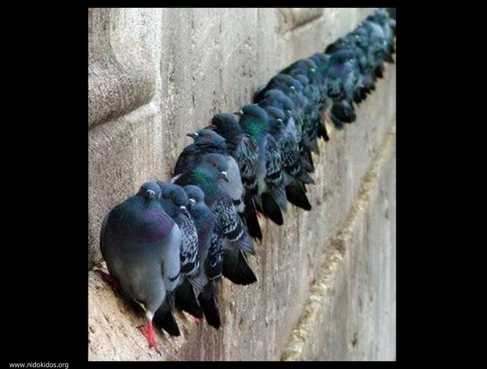  ::http://es.groups.yahoo.com/group/jajachistes/:: 