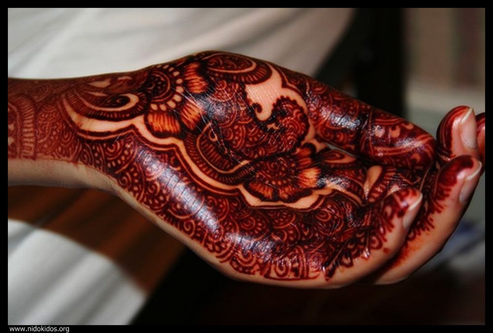 Modern Mehndi Designs Collection 