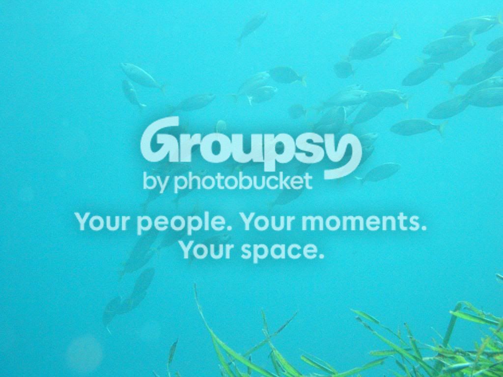 [TodoMarino.com] fotos de buceo