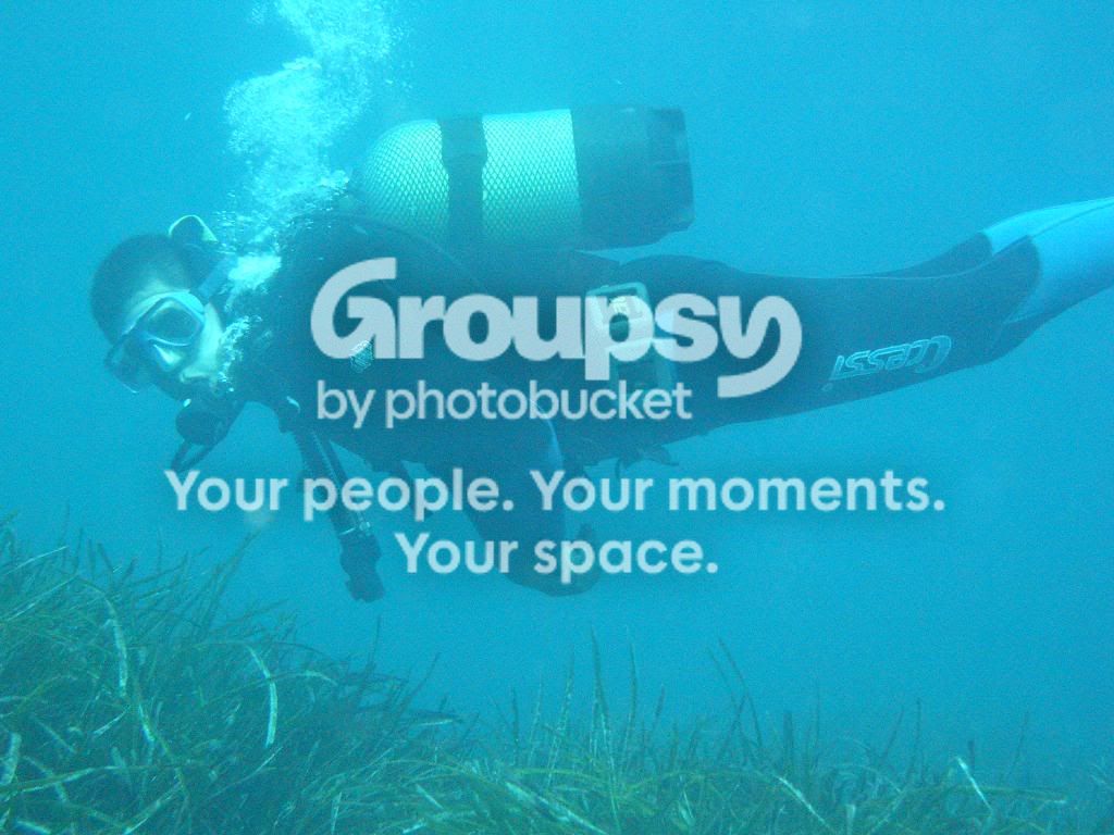 [TodoMarino.com] fotos de buceo