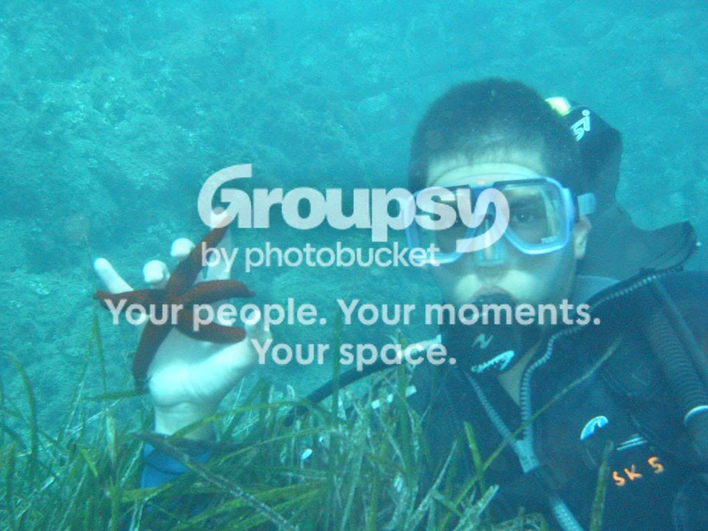 [TodoMarino.com] fotos de buceo