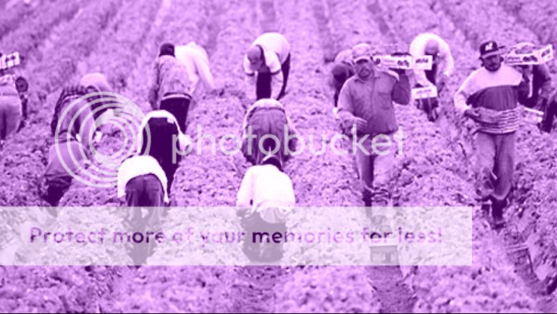  photo immigrant-workers.jpg
