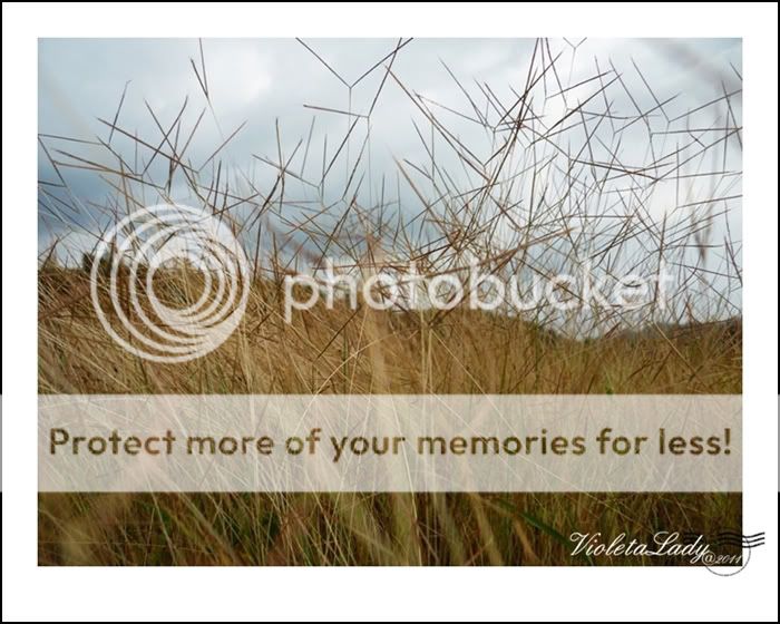 Crash And Burn Lifehouse｡♫ ♪♬