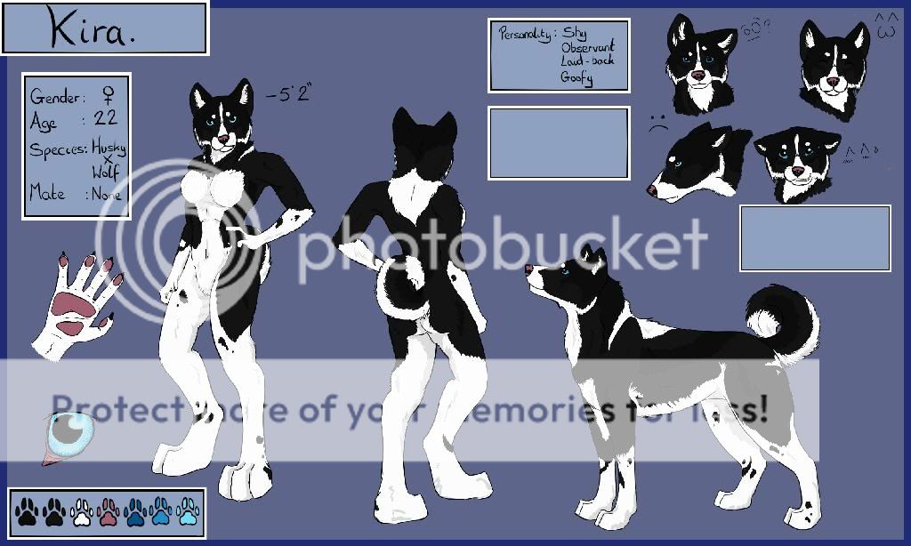 Full fursuit reference sheet | Fur Affinity Forums